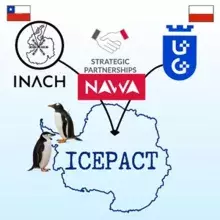 projekt