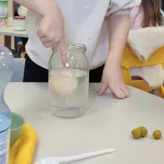 dr Aleksandra Zahorska